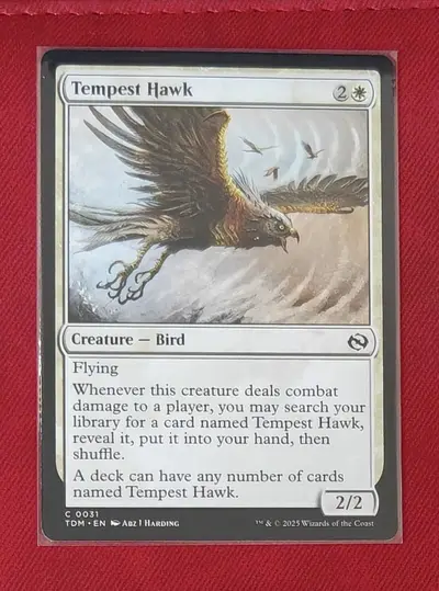 Снимок 1